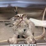 Angry Wet Cat | THAT FACE YOU MAKE; WHEN YOU GET MORE HOMEWORK | image tagged in angry wet cat | made w/ Imgflip meme maker