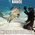 Shark High Five | BRUCE; NICE TO SEE YOU AGEN | image tagged in shark high five | made w/ Imgflip meme maker