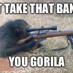 Sniper Monkey | DONT TAKE THAT BANANA; YOU GORILA | image tagged in sniper monkey | made w/ Imgflip meme maker