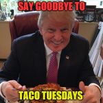 Trump taco bowl | SAY GOODBYE TO; TACO TUESDAYS | image tagged in trump taco bowl | made w/ Imgflip meme maker