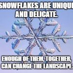 Snowflake | SNOWFLAKES ARE UNIQUE AND DELICATE. ENOUGH OF THEM, TOGETHER, CAN CHANGE THE LANDSCAPE. | image tagged in snowflake | made w/ Imgflip meme maker