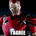 Ironic Iron Man | I AGREE | image tagged in ironic iron man | made w/ Imgflip meme maker