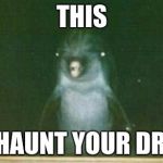 O_O | THIS; WILL HAUNT YOUR DREAMS | image tagged in dolphin stare,darnkess,oh hai | made w/ Imgflip meme maker