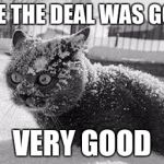 so much cocaine cat | I SEE THE DEAL WAS GOOD; VERY GOOD | image tagged in so much cocaine cat | made w/ Imgflip meme maker