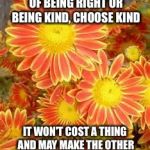 A little will go a long way  | IF GIVEN THE CHOICE OF BEING RIGHT OR BEING KIND, CHOOSE KIND; IT WON'T COST A THING AND MAY MAKE THE OTHER PERSON'S DAY A LOT BETTER | image tagged in flowers | made w/ Imgflip meme maker