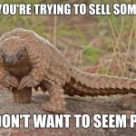 Excuse me, sir. Would you like to buy some items? | WHEN YOU'RE TRYING TO SELL SOMETHING; BUT DON'T WANT TO SEEM PUSHY | image tagged in pangolin,memes | made w/ Imgflip meme maker