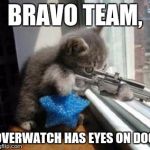 Cat Sniper | BRAVO TEAM, OVERWATCH HAS EYES ON DOG | image tagged in cat sniper | made w/ Imgflip meme maker