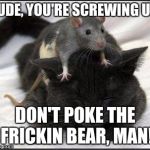 Rat-cat | DUDE, YOU'RE SCREWING UP! DON'T POKE THE FRICKIN BEAR, MAN! | image tagged in rat-cat | made w/ Imgflip meme maker