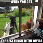 food | WHEN YOU GOT; THE BEST LUNCH IN THE OFFICE | image tagged in food | made w/ Imgflip meme maker