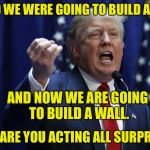DO YOU NOT HEAR THE WORDS COMING OUT OF MY MOUTH? | I SAID WE WERE GOING TO BUILD A WALL; AND NOW WE ARE GOING TO BUILD A WALL. WHY ARE YOU ACTING ALL SURPRISED? | image tagged in trump | made w/ Imgflip meme maker