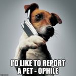 Dog Phone | I'D LIKE TO REPORT A PET - OPHILE | image tagged in dog phone | made w/ Imgflip meme maker