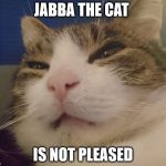 Jabba the cat | JABBA THE CAT; IS NOT PLEASED | image tagged in jabba the hutt,cat,kill you cat | made w/ Imgflip meme maker