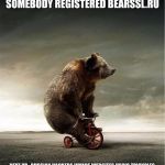 BEARSSL.RU | SOMEBODY REGISTERED BEARSSL.RU; NEXT UP : RUSSIAN HACKERS INVADE WEBSITES USING TRICYCLES | image tagged in bear bicycle,bearssl,russia,domain | made w/ Imgflip meme maker