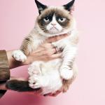 Celebrity grumpy cat meme
