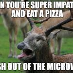 disgusted deer | WHEN YOU'RE SUPER IMPATIENT AND EAT A PIZZA; FRESH OUT OF THE MICROWAVE | image tagged in disgusted deer | made w/ Imgflip meme maker