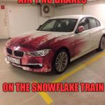 Thanks for the paint job. | AIN'T NO BRAKES; ON THE SNOWFLAKE TRAIN | image tagged in protesters | made w/ Imgflip meme maker