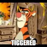 Tiggered | TIGGERED | image tagged in tiggered,triggered,mad,winnie the pooh,tigers,tiger | made w/ Imgflip meme maker