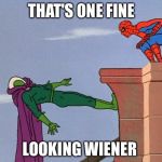 Spider-Man Vs. Mysterio | THAT'S ONE FINE; LOOKING WIENER | image tagged in spider-man vs mysterio | made w/ Imgflip meme maker