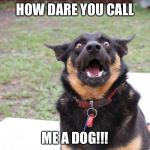 Shocked dog | HOW DARE YOU CALL; ME A DOG!!! | image tagged in shocked dog | made w/ Imgflip meme maker