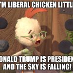 Chicken Little | I'M LIBERAL CHICKEN LITTLE; DONALD TRUMP IS PRESIDENT AND THE SKY IS FALLING! | image tagged in chicken little | made w/ Imgflip meme maker