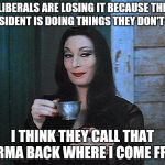 BETTER THAN KARMA | LIBERALS ARE LOSING IT BECAUSE THE PRESIDENT IS DOING THINGS THEY DON'T LIKE; I THINK THEY CALL THAT KARMA BACK WHERE I COME FROM | image tagged in better than karma | made w/ Imgflip meme maker