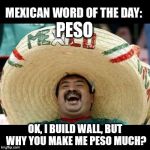 Peso much | PESO; OK, I BUILD WALL, BUT WHY YOU MAKE ME PESO MUCH? | image tagged in mexican word of the day large,peso | made w/ Imgflip meme maker
