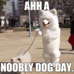 white dog | AHH A; NOOBLY DOG DAY.. | image tagged in white dog | made w/ Imgflip meme maker