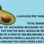 The avocado and the wall