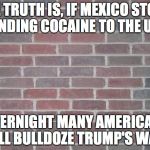 Trump's wall | THE TRUTH IS, IF MEXICO STOPS SENDING COCAINE TO THE U.S. OVERNIGHT MANY AMERICANS WILL BULLDOZE TRUMP'S WALL | image tagged in the wall,trump,mexico,cocaine,trump's wall | made w/ Imgflip meme maker
