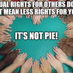diversity | EQUAL RIGHTS FOR OTHERS DOES NOT MEAN LESS RIGHTS FOR YOU... IT'S NOT PIE! | image tagged in diversity | made w/ Imgflip meme maker