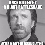 chuck norris BW | CHUCK NORRIS WAS ONCE BITTEN BY A GIANT RATTLESNAKE; AFTER 5 DAYS OF ESCRUCIATING PAIN, IT DIED | image tagged in chuck norris bw,memes,funny,chuck norris | made w/ Imgflip meme maker