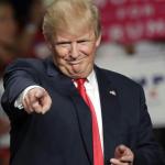 Trump pussy
