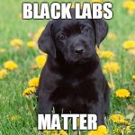 Black Labs Matter | BLACK LABS; MATTER | image tagged in black labs matter | made w/ Imgflip meme maker
