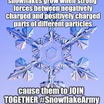Special snowflake | snowflakes grow when strong forces between negatively charged and positively charged parts of different particles; cause them to JOIN TOGETHER #SnowflakeArmy | image tagged in special snowflake | made w/ Imgflip meme maker