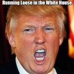 trump | Rabid Animal; Running Loose in the White House | image tagged in trump | made w/ Imgflip meme maker