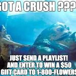 princess leia lena dunham | GOT A CRUSH ???? JUST SEND A PLAYLIST! AND ENTER TO WIN A $50 GIFT CARD TO 1-800-FLOWERS | image tagged in princess leia lena dunham | made w/ Imgflip meme maker