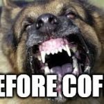 Angry Dog | BEFORE COFFE | image tagged in angry dog | made w/ Imgflip meme maker