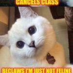 bad pun cat  | I HOPE THE PURRFESSOR CANCELS CLASS; BECLAWS I'M JUST NOT FELINE UP FOR IT RIGHT MEOW | image tagged in bad pun cat | made w/ Imgflip meme maker