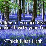 Purple Flowers | “Walk as if you are kissing the Earth with your feet.”; ~Thích Nhất Hạnh | image tagged in thich nhat hanh,earth,conservation,epa,nature | made w/ Imgflip meme maker