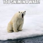 surprised polar bear Meme Generator - Imgflip