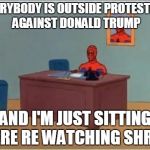 Desk Spiderman | EVERYBODY IS OUTSIDE PROTESTING AGAINST DONALD TRUMP; AND I'M JUST SITTING HERE RE WATCHING SHREK | image tagged in desk spiderman | made w/ Imgflip meme maker