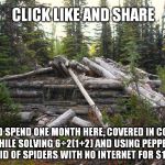 old cabin | CLICK LIKE AND SHARE; IF YOU'D SPEND ONE MONTH HERE, COVERED IN COCONUT OIL, WHILE SOLVING 6÷2(1+2) AND USING PEPPERMINT TO GET RID OF SPIDERS WITH NO INTERNET FOR $1,000,000 | image tagged in old cabin | made w/ Imgflip meme maker