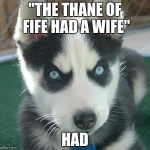 Killer Husky | "THE THANE OF FIFE HAD A WIFE"; HAD | image tagged in killer husky | made w/ Imgflip meme maker