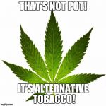 marijuana666 | THAT'S NOT POT! IT'S ALTERNATIVE TOBACCO! | image tagged in marijuana666 | made w/ Imgflip meme maker