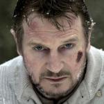 liam neeson snow