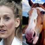 neigh Sarah Jessica Parker