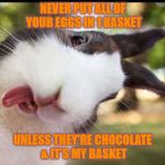 Bunny sticking out tongue  | NEVER PUT ALL OF YOUR EGGS IN 1 BASKET; UNLESS THEY'RE CHOCOLATE & IT'S MY BASKET | image tagged in bunny sticking out tongue | made w/ Imgflip meme maker
