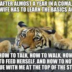 Confession Tiger | AFTER ALMOST A YEAR IN A COMA, MY WIFE HAS TO LEARN THE BASICS AGAIN; HOW TO TALK, HOW TO WALK, HOW TO FEED HERSELF, AND HOW TO NOT ARGUE WITH ME AT THE TOP OF THE STAIRS | image tagged in confession tiger,memes | made w/ Imgflip meme maker