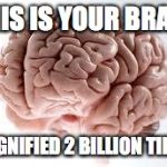 Brain | THIS IS YOUR BRAIN; MAGNIFIED 2 BILLION TIMES | image tagged in brain | made w/ Imgflip meme maker