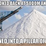 literal liberal | LOT'S WIFE LOOKED BACK AT SODOM AND GOMORRAH; AND TURNED INTO A PILLAR OF LIBERALS | image tagged in liberal,trump,hillary,election,salty motherfucker? | made w/ Imgflip meme maker